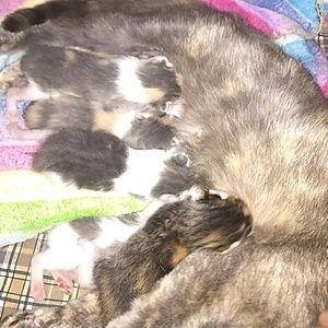 Meet your Posher, Aaron